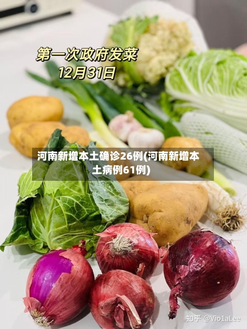 河南新增本土确诊26例(河南新增本土病例61例)-第2张图片