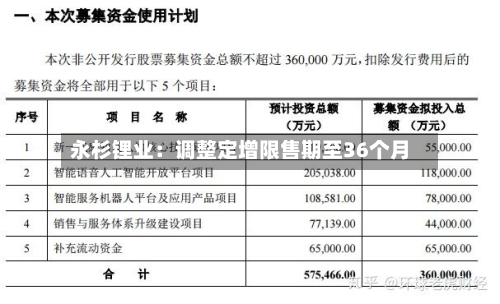 永杉锂业:调整定增限售期至36个月-第3张图片