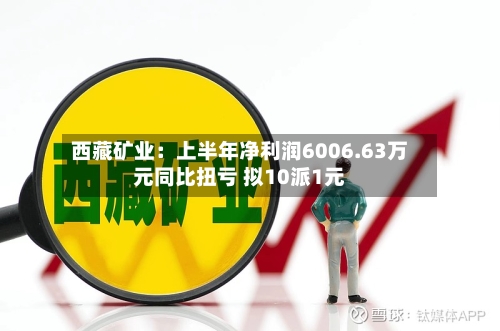 西藏矿业:上半年净利润6006.63万元同比扭亏 拟10派1元-第1张图片