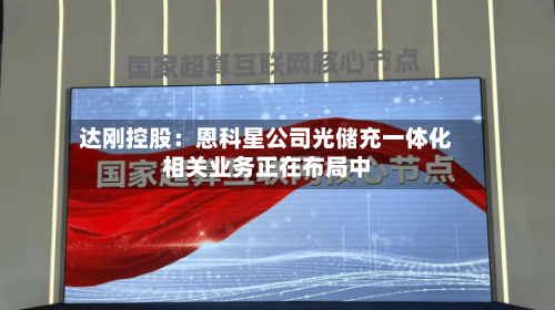 达刚控股:恩科星公司光储充一体化相关业务正在布局中-第2张图片