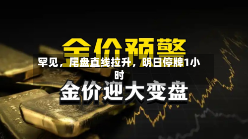 罕见	，尾盘直线拉升，明日停牌1小时-第2张图片