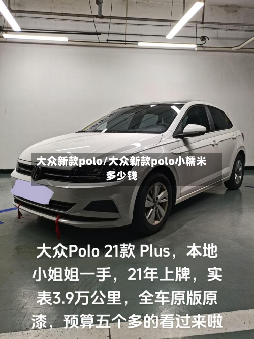 大众新款polo/大众新款polo小糯米多少钱-第2张图片