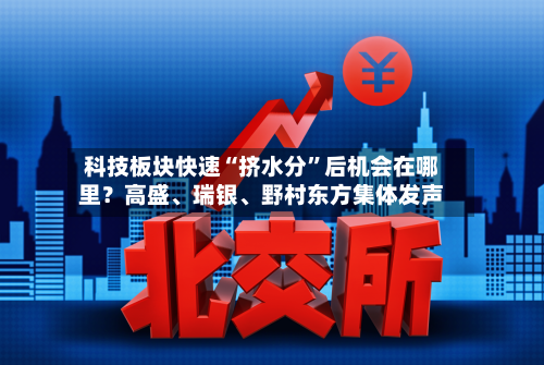 科技板块快速“挤水分”后机会在哪里？高盛、瑞银	、野村东方集体发声-第2张图片
