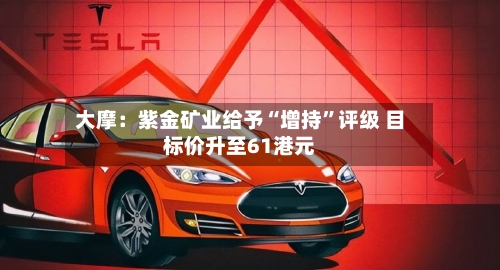 大摩：紫金矿业给予“增持”评级 目标价升至61港元-第3张图片