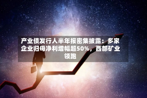 产业债发行人半年报密集披露：多家企业归母净利增幅超50%	，西部矿业领跑-第2张图片