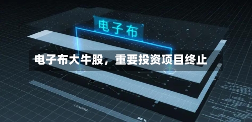 电子布大牛股	，重要投资项目终止-第1张图片