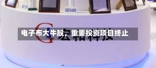 电子布大牛股，重要投资项目终止-第2张图片