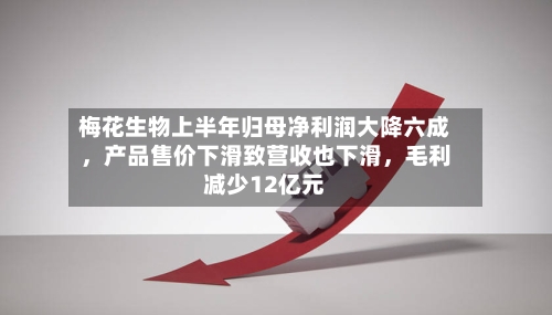 梅花生物上半年归母净利润大降六成，产品售价下滑致营收也下滑，毛利减少12亿元-第2张图片