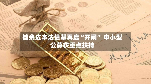 摊余成本法债基再度“开闸” 中小型公募获重点扶持-第3张图片