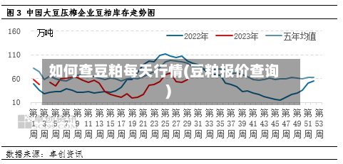 如何查豆粕每天行情(豆粕报价查询)