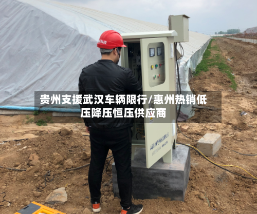 贵州支援武汉车辆限行/惠州热销低压降压恒压供应商-第2张图片