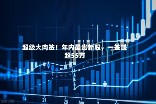 超级大肉签！年内最贵新股，一签赚超55万-第2张图片