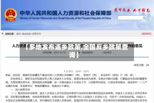 【多地发布返乡政策,全国反乡政策查询】