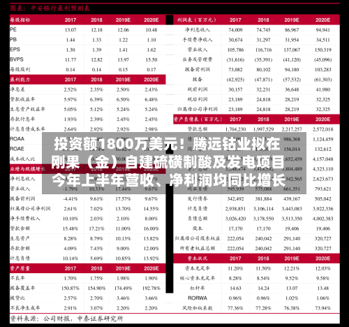 投资额1800万美元！腾远钴业拟在刚果（金）自建硫磺制酸及发电项目 今年上半年营收	、净利润均同比增长-第2张图片