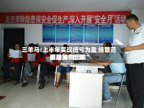 三羊马:上半年实现扭亏为盈 经营范围增加“世界道路货物运输	”-第2张图片