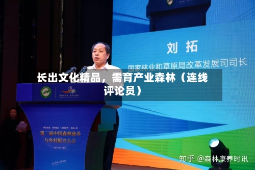 长出文化精品，需育产业森林（连线评论员）-第2张图片
