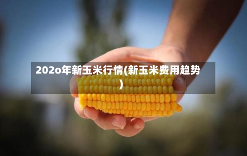 202o年新玉米行情(新玉米费用趋势)