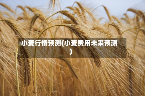 小麦行情预测(小麦费用未来预测)-第2张图片