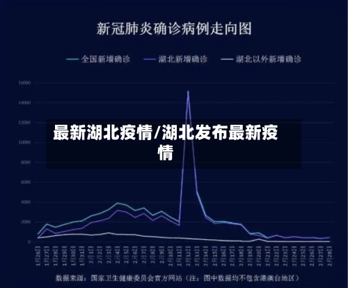 最新湖北疫情/湖北发布最新疫情