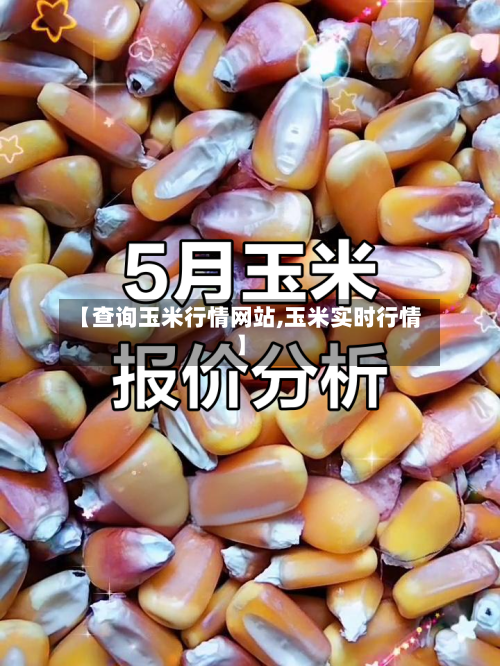 【查询玉米行情网站,玉米实时行情】-第2张图片
