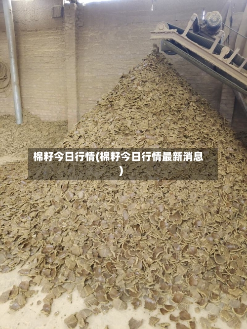 棉籽今日行情(棉籽今日行情最新消息)