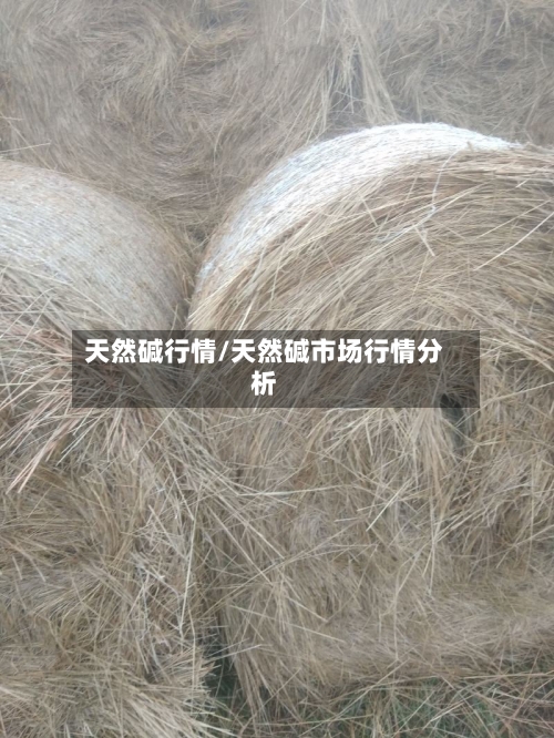 天然碱行情/天然碱市场行情分析-第2张图片