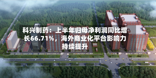 科兴制药：上半年归母净利润同比增长66.71%，海外商业化平台影响力持续提升-第2张图片