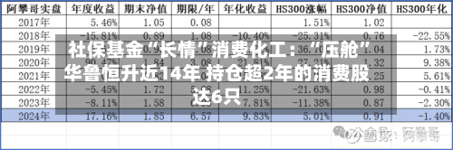 社保基金“长情”消费化工：“压舱	”华鲁恒升近14年 持仓超2年的消费股达6只-第2张图片