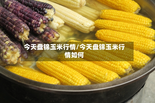 今天盘锦玉米行情/今天盘锦玉米行情如何