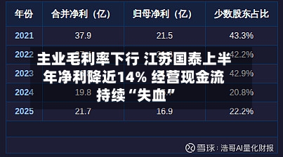 主业毛利率下行 江苏国泰上半年净利降近14% 经营现金流持续“失血”-第2张图片