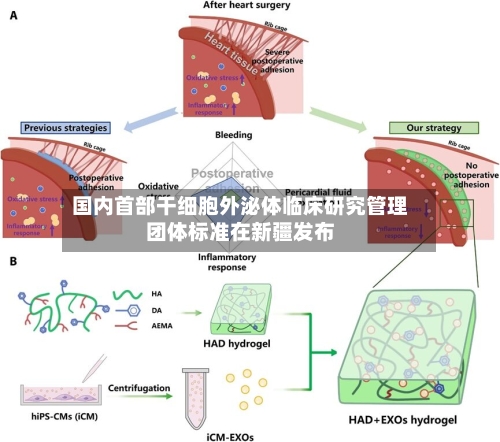 国内首部干细胞外泌体临床研究管理团体标准在新疆发布