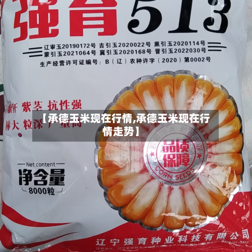 【承德玉米现在行情,承德玉米现在行情走势】
