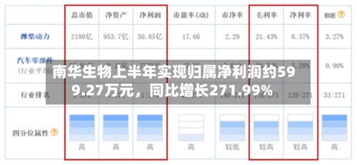 南华生物上半年实现归属净利润约599.27万元，同比增长271.99%-第1张图片
