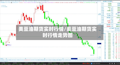 美豆油期货实时行情/美豆油期货实时行情走势图