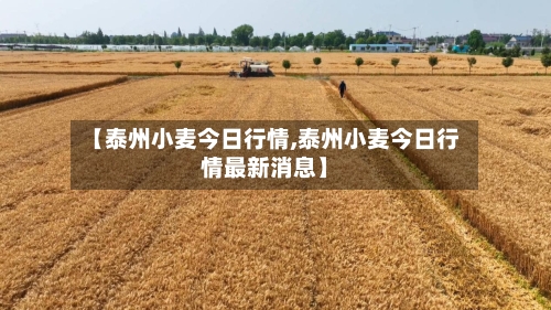 【泰州小麦今日行情,泰州小麦今日行情最新消息】-第2张图片
