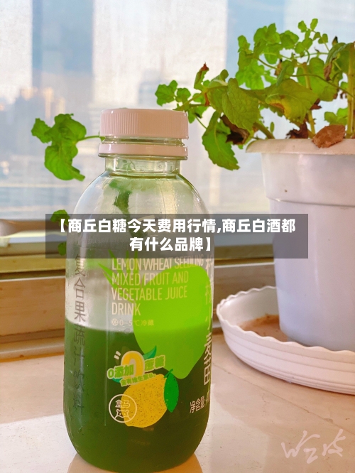 【商丘白糖今天费用行情,商丘白酒都有什么品牌】-第3张图片