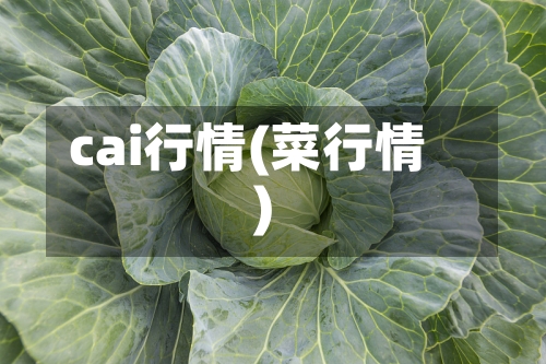 cai行情(菜行情)