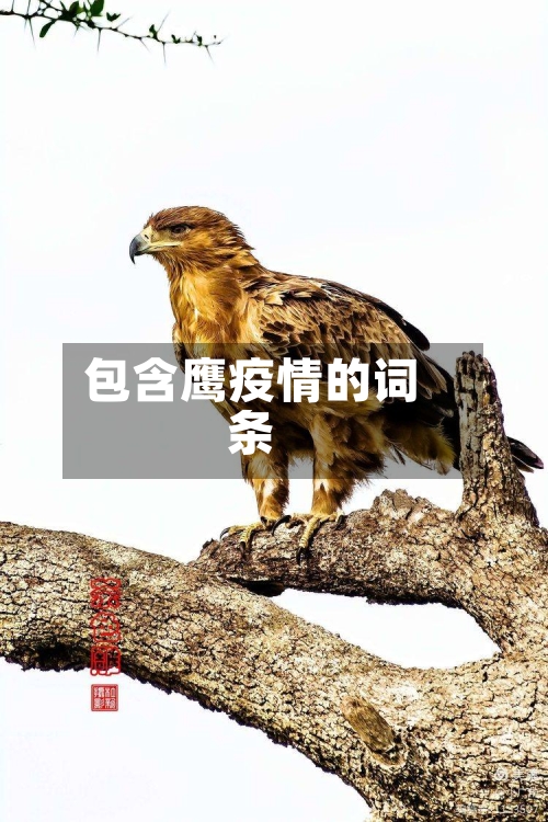 包含鹰疫情的词条-第3张图片