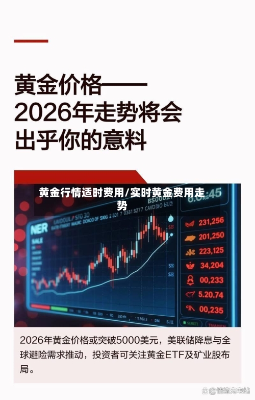 黄金行情适时费用/实时黄金费用走势