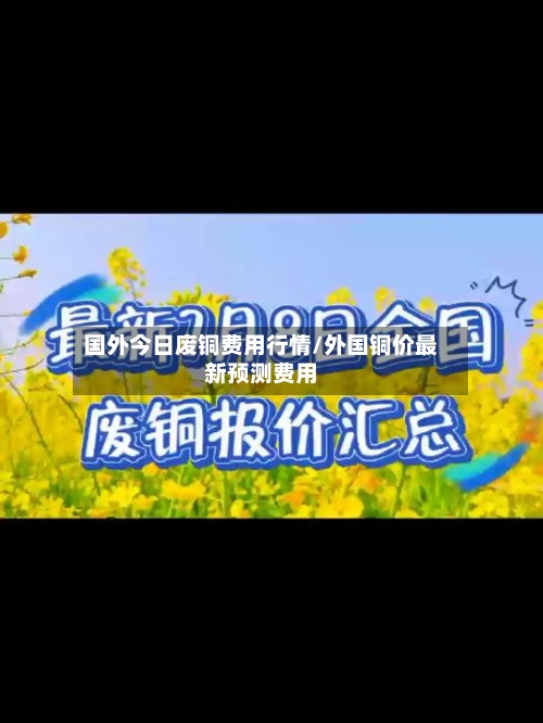 国外今日废铜费用行情/外国铜价最新预测费用-第2张图片