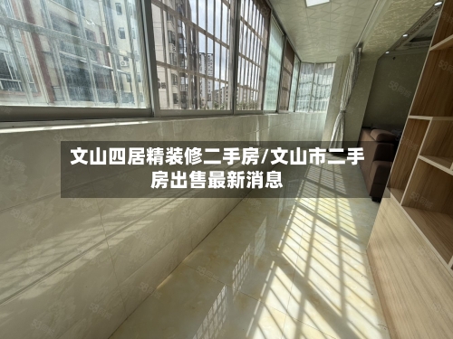 文山四居精装修二手房/文山市二手房出售最新消息