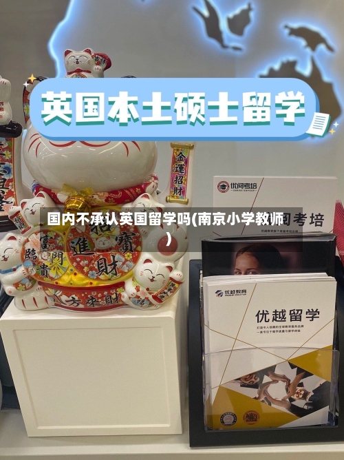 国内不承认英国留学吗(南京小学教师)