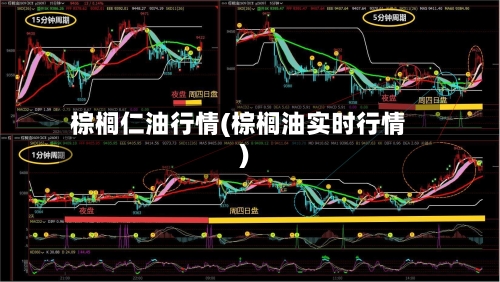 棕榈仁油行情(棕榈油实时行情)-第3张图片