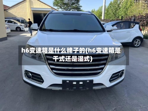 h6变速箱是什么牌子的(h6变速箱是干式还是湿式)
