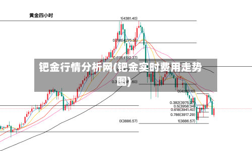 钯金行情分析网(钯金实时费用走势图)