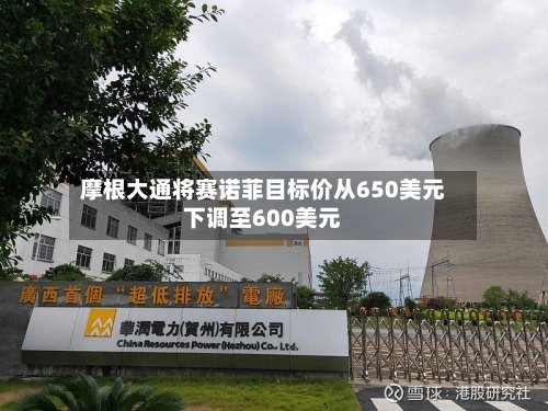 摩根大通将赛诺菲目标价从650美元下调至600美元