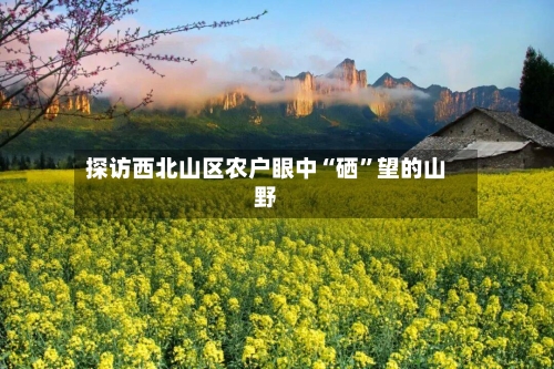 探访西北山区农户眼中“硒”望的山野-第3张图片