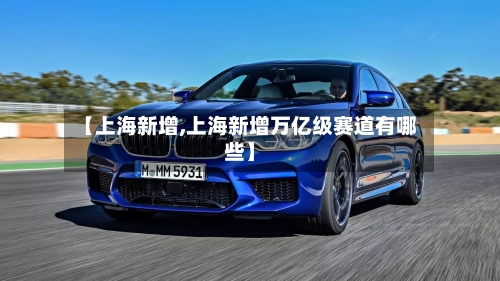 【上海新增,上海新增万亿级赛道有哪些】-第1张图片