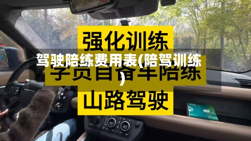 驾驶陪练费用表(陪驾训练)-第2张图片