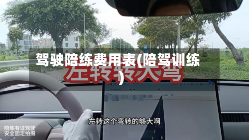 驾驶陪练费用表(陪驾训练)